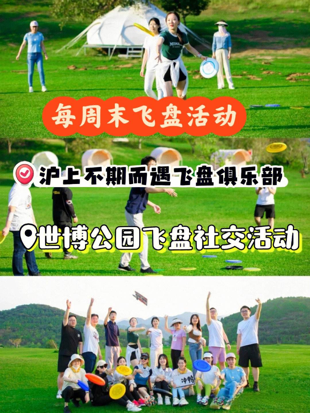 开云体育APP下载-全球极限飞盘巡回赛，空中快递追逐梦想