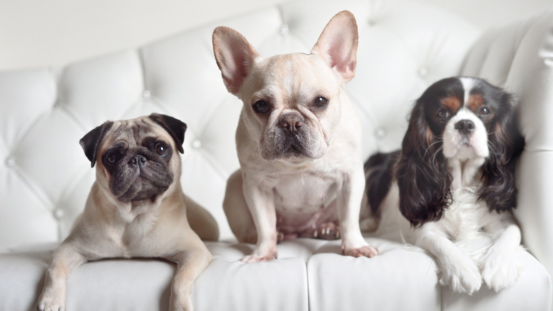 开云体育网页版入口-2009年季后赛第一轮：湖人以“杀手锏”科比的超神表现，从落后20分的逆境中逆转灰熊，彰显冠军底蕴。