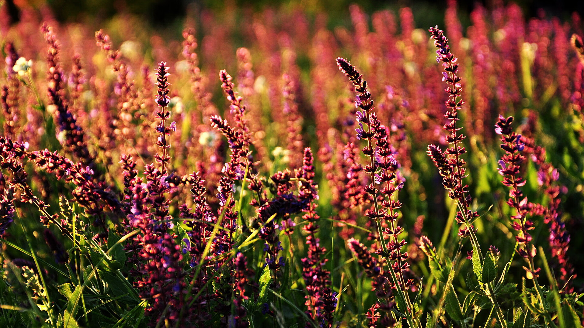 开云·Kaiyun网页版-_冬日温泉运动季：享受水景中运动的乐趣_，初冬温泉