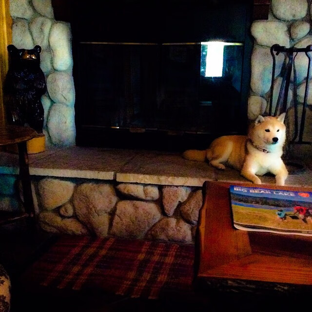 _魔术队全队奋战，迎来季后赛希望_，魔术队2020