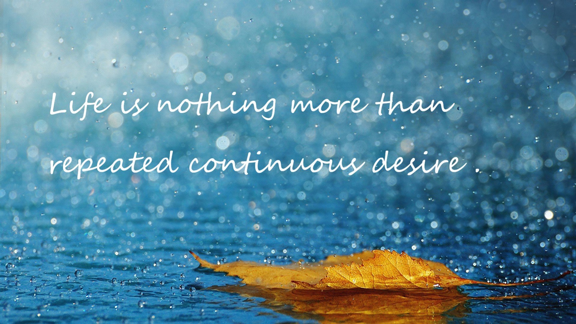 _魔术队创造历史，单场三双表现惊人_，魔术队队史第一人