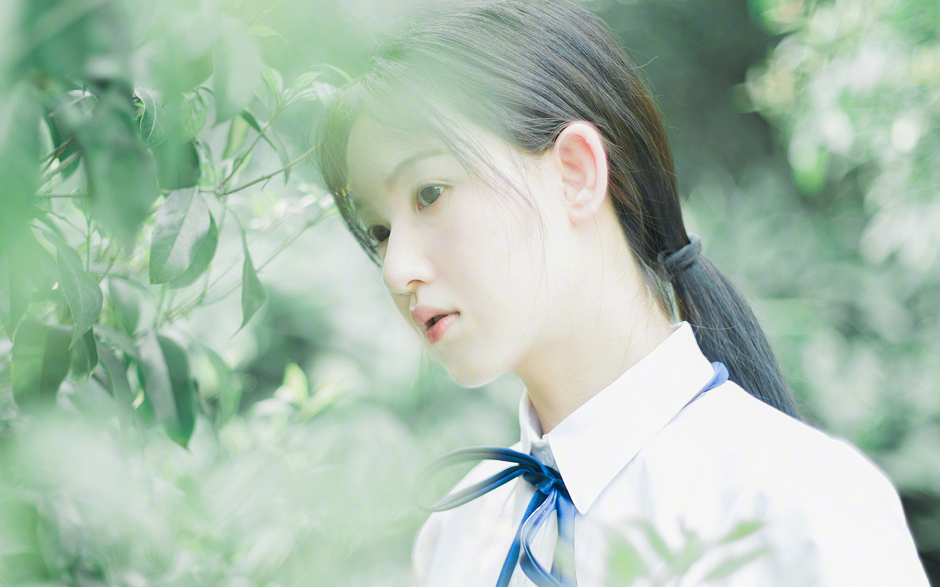 史上最炸“盖帽”纪录，谁的防守最令人惊叹？，盖帽是防守吗