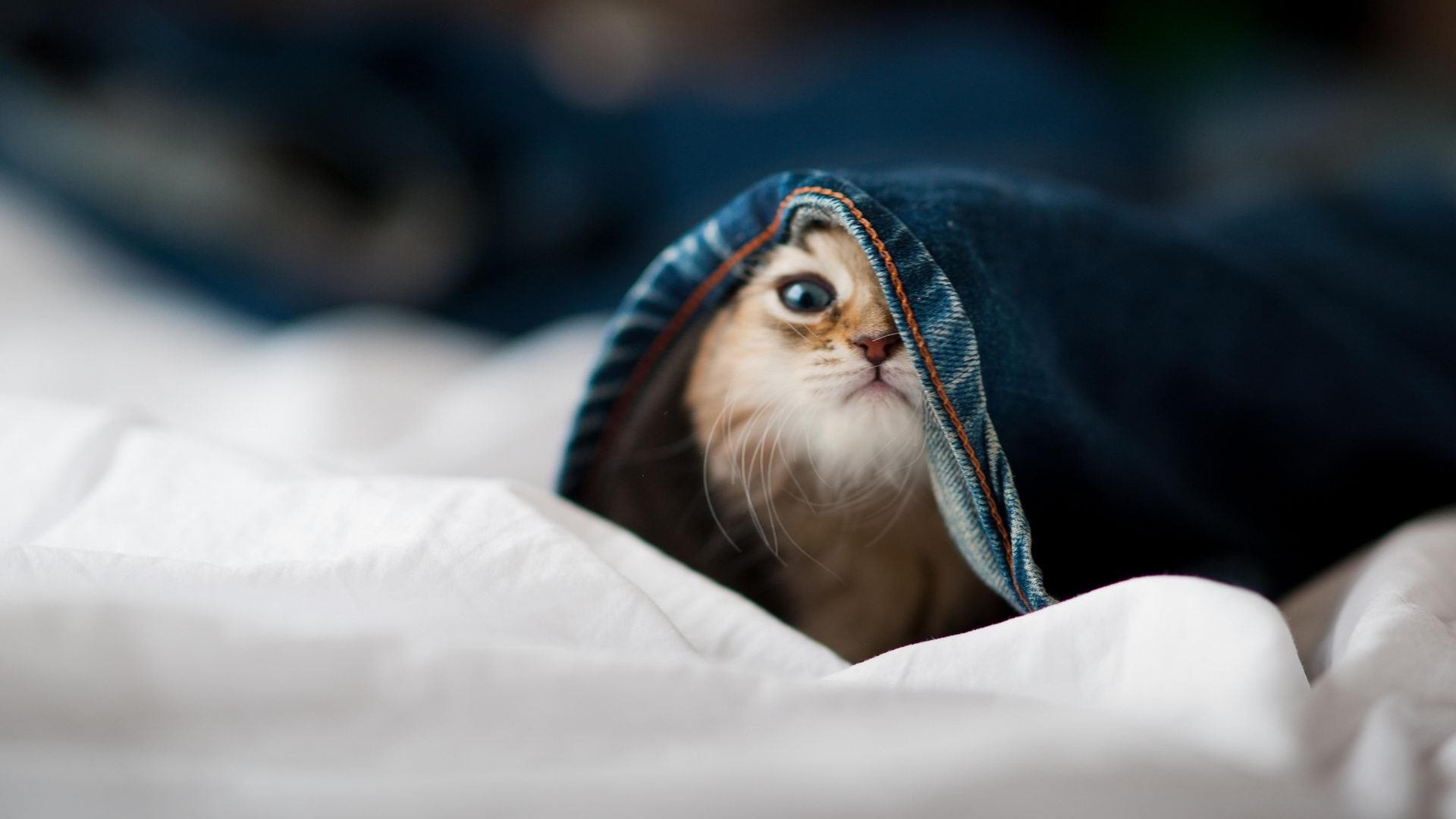 意甲激烈竞争,比分2-2,比赛亮点:多个关键断球和抢断,传球成功率高达89%