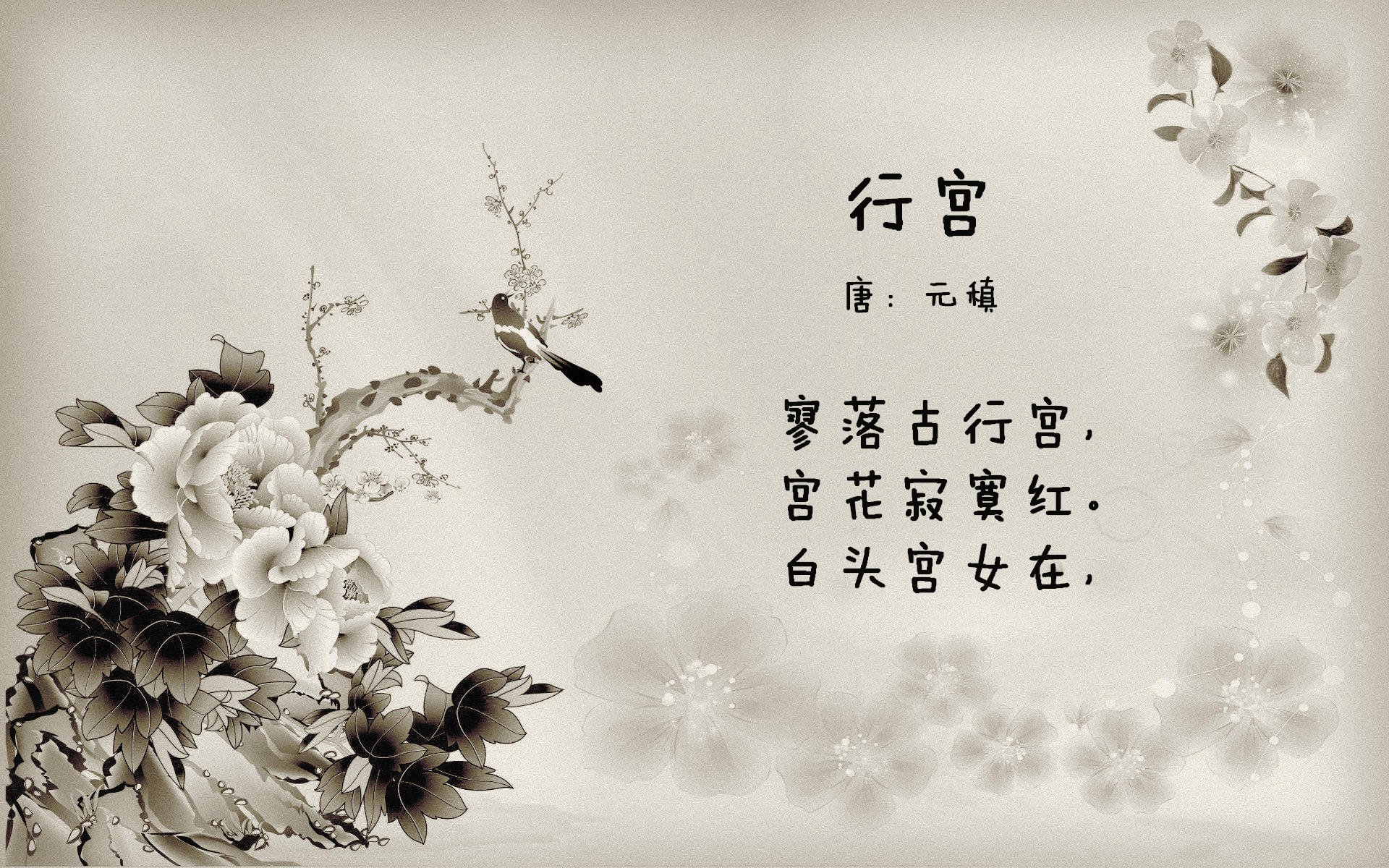 世界联赛赛场华彩绽放，惊险瞬间点燃激情，世界比赛视频