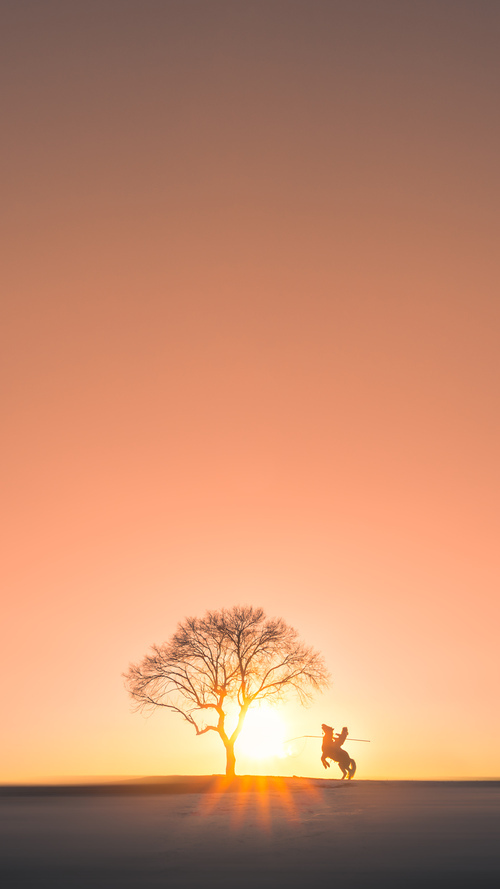 世界象棋联合会主席霍震霆:用象棋讲好中国故事,世界象棋比赛视频