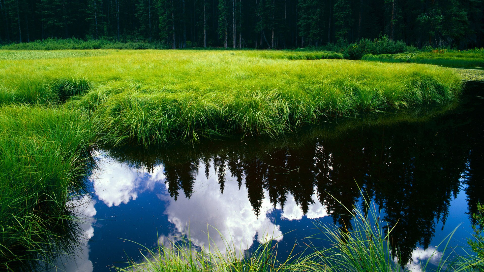 KAIYUNAPP-切尔西女足伤病名单更新，切尔西女足中国球员