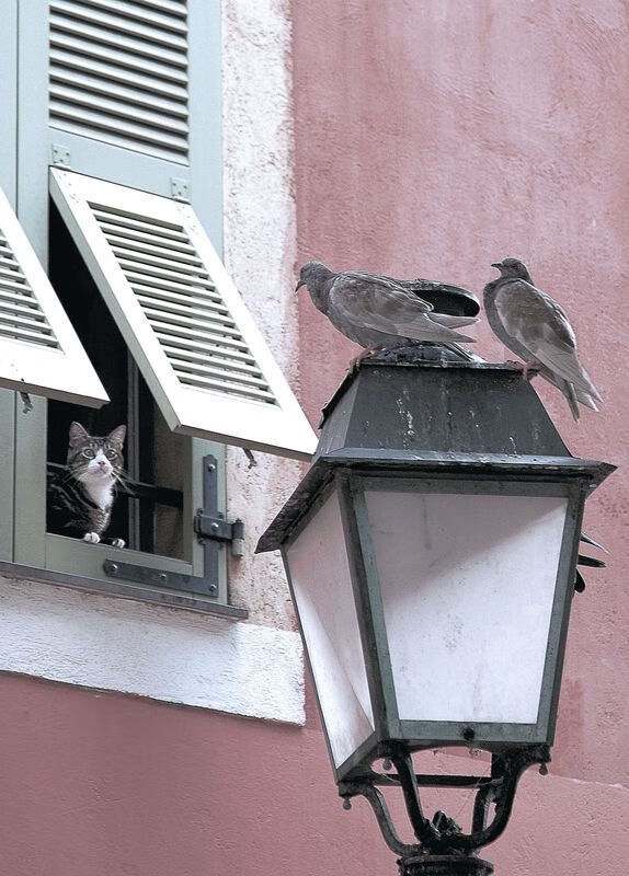 开云·体育官方网站入口-切尔西女足伤病名单更新，切尔西女足欧冠