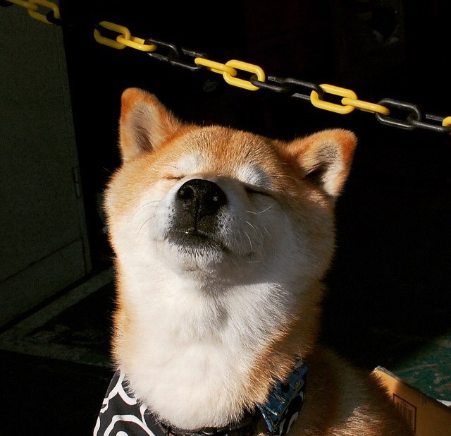 女足世界杯未来发展展望，女足世界杯出现