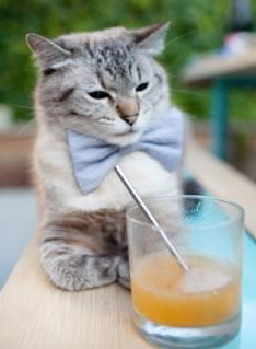 开云·Kaiyun网页版-女足世界杯未来赛事规划，女足世界杯2023 主办国