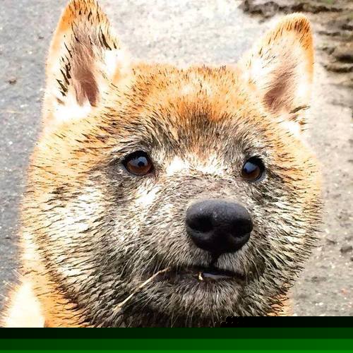 开云首页登录-柏林联合保级关键胜，主场力克奥格斯堡，奥格斯堡对柏林赫塔比分预测