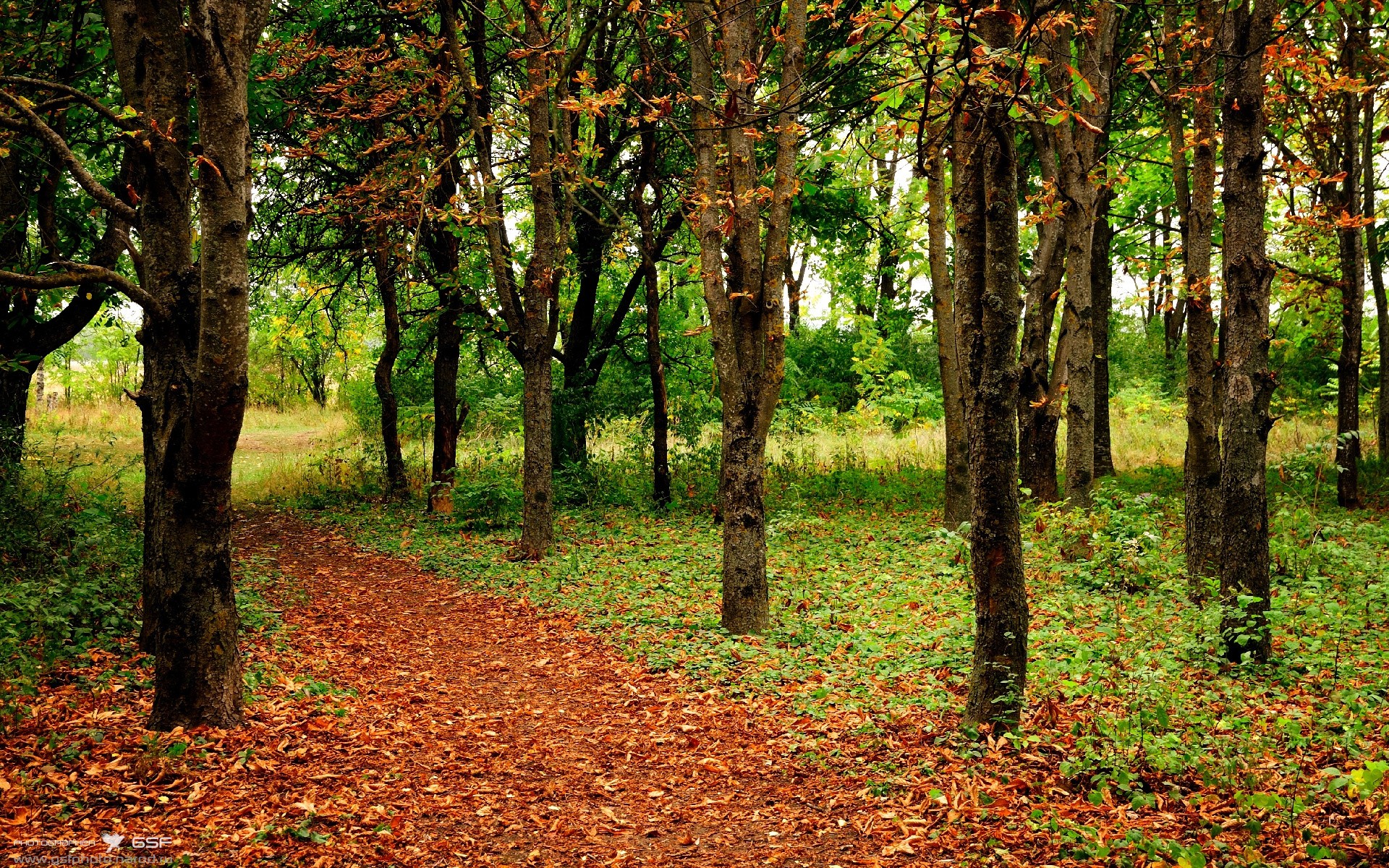 开云下载-足球运动是否注重青少年心理健康，足球运动对青少年的教育功能有哪些_
