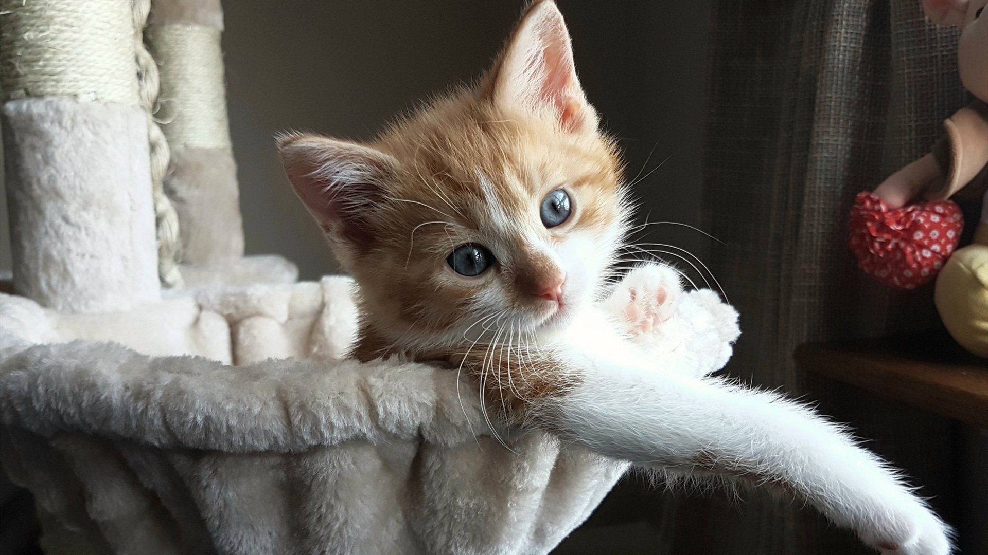 kaiyun.com-陕西主场力拼四川，决胜关头表现重要，陕西国力主力阵容