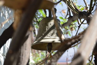 kaiyun网站-NBA球员转会市场动态，nba转会名单