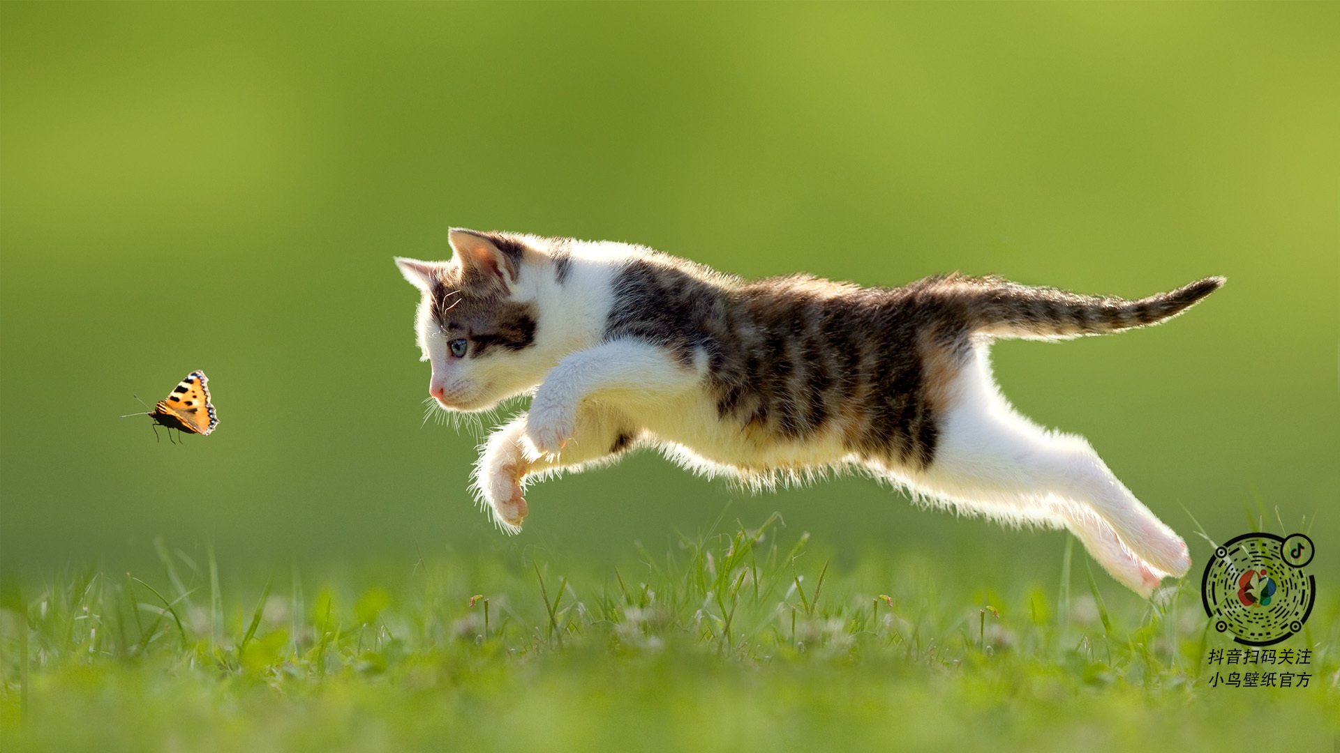 KAIYUNAPP-“举重选手挑战极限重量，高新体育中心赛场掀起运动高潮”