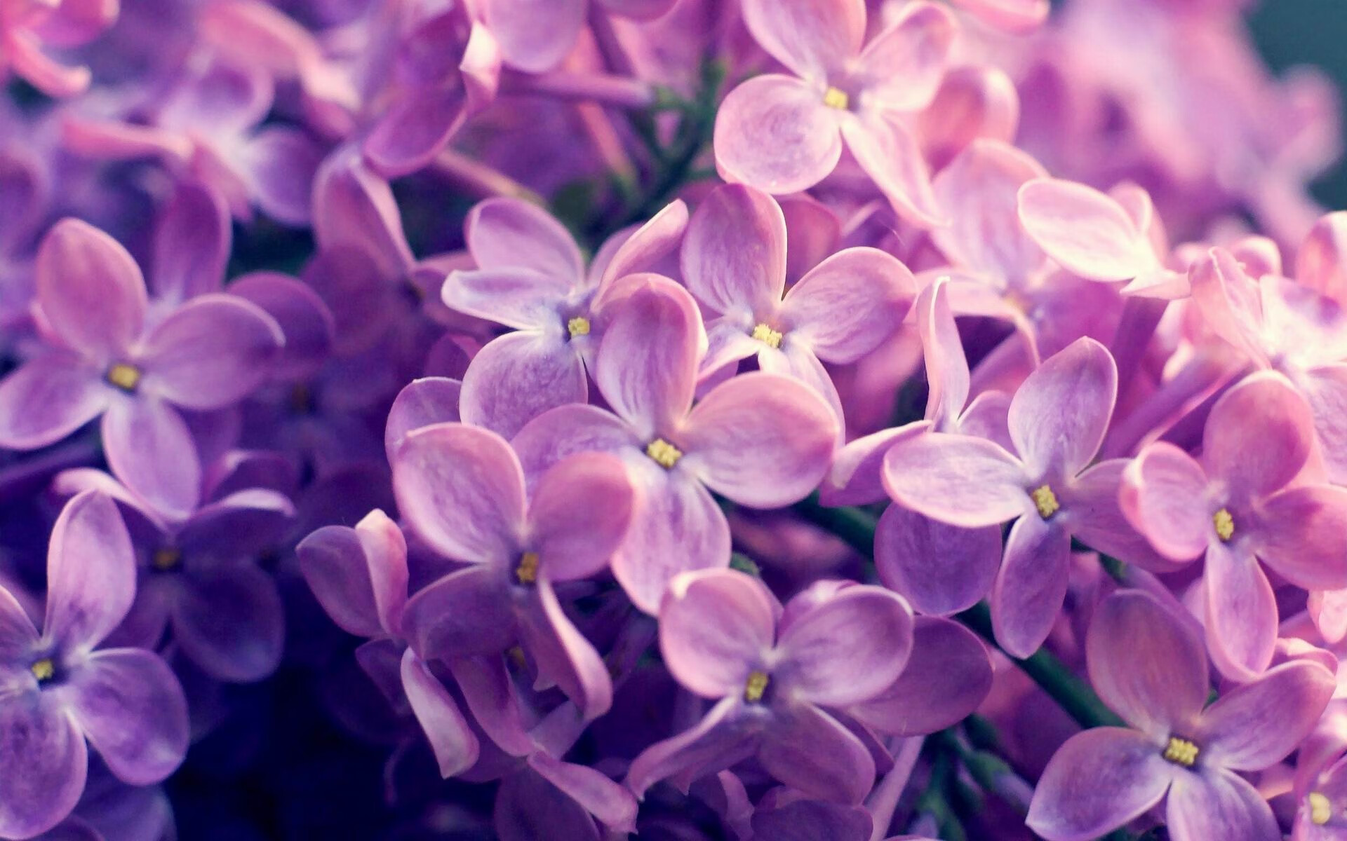 五大联赛是否将传球前的身体预备动作纳入训练重点，传球的五大要素