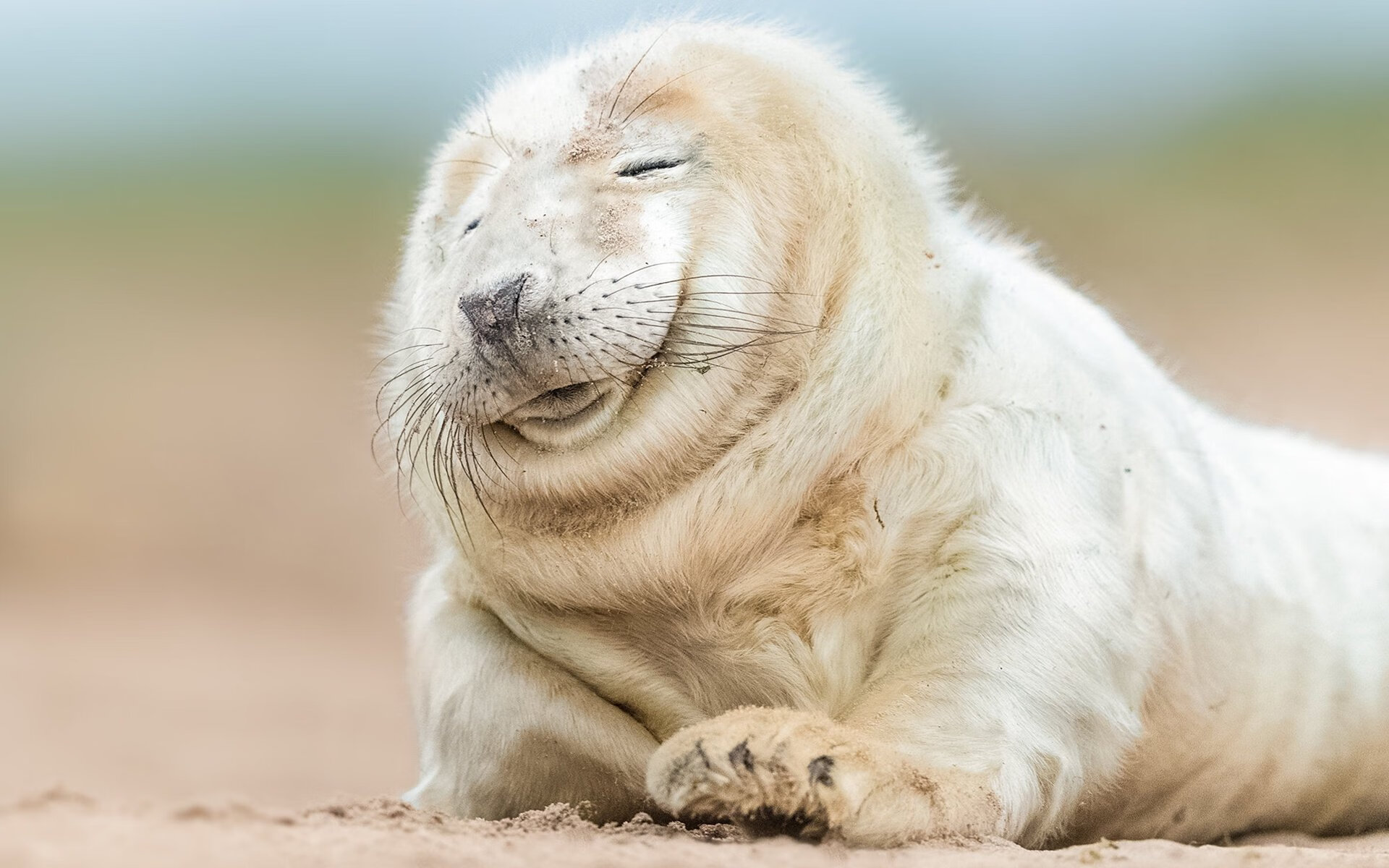 kaiyun官方入口登录-巴黎中场核心引领全队推进节奏，巴黎 中场