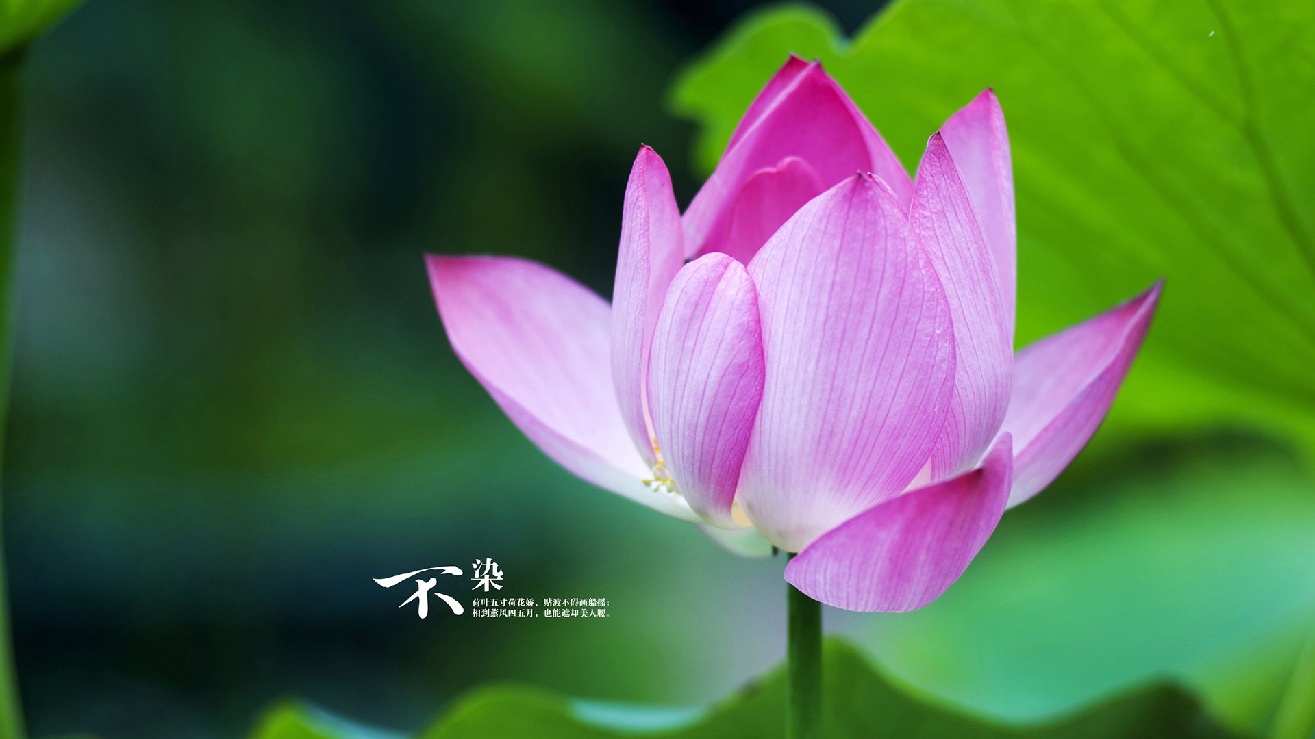 kaiyun体育综合-战术执行果断，整体配合默契，战术合作是什么意思