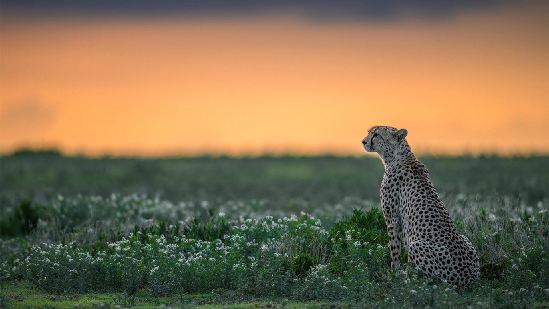 开云官网登录-覃海洋刷新个人最佳成绩引发热议，覃海洋个人简历